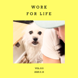 vol.315：定心把事做完，然后安心去玩～