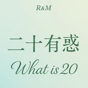 What is 20 二十有惑