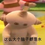 金钱蛋教徒
