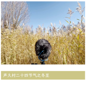 声久村二十四节气之冬至——冬随鸟至