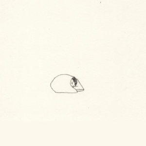 允许慢热——世界很大，容得下敏感的人慢慢发光