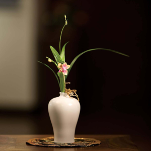 2、再次发现黄帝内经