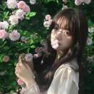 好事花生_Efs2