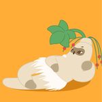白茶小能猫