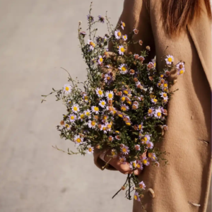 Vol.25 成人无法说出口的这三种分离焦虑，如何潇洒面对？