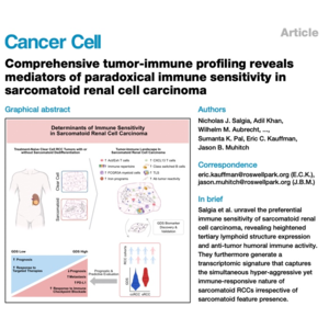 161-sRCC Immunobiology and Immunotherapy Prediction