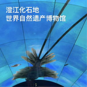 43-云南｜来澄江感受一点来自寒武纪的震撼！