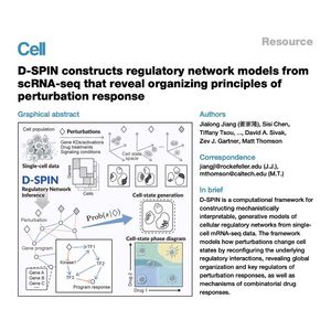 1029-D-SPIN: Generative Regulatory Network Modeling