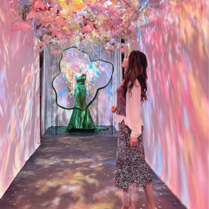 呆萌：我当年以为数学老师讲的是题，其实讲的是人生哲理