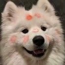 黑不溜秋的辣辣