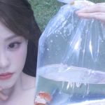迟迟迟云