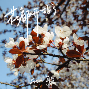 18. 春夜放映「花都开好了」