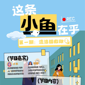 Vol.001 流浪猫救助