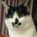 小方小方不要太慌