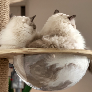 2024最讨厌的那几个词