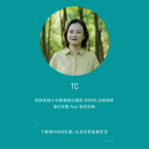 渐进式肌肉放松练习_17分钟_TC带领