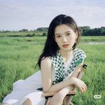 上进的zzy