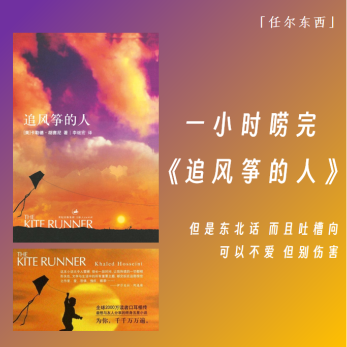 cover of episode 09 一小时唠完《追风筝的人》但是东北话 而且吐槽向