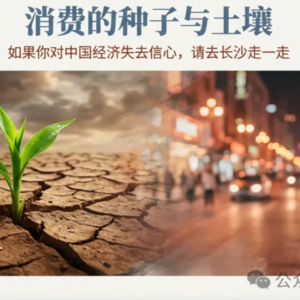 战略屋年度观察之六-消费重生