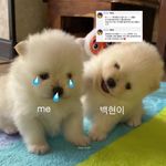 还能叫什么
