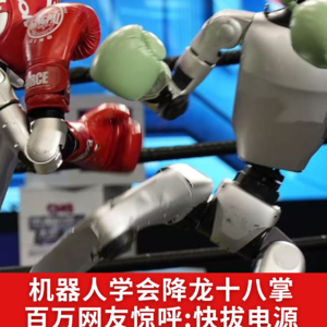 第525集 机器人学会降龙十八掌，百万网友惊呼：快拔电源