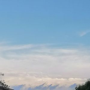 云游播客