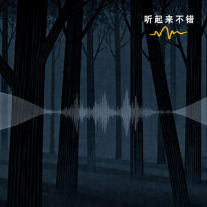 纯享版 | 消失的声音