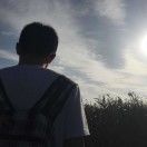 竹林风涂涂