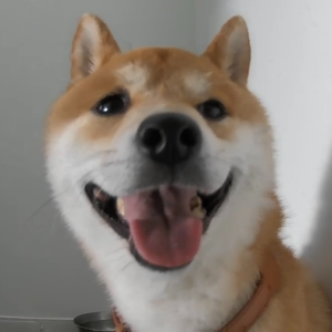 EP006 那些年我们心心念念的电视剧