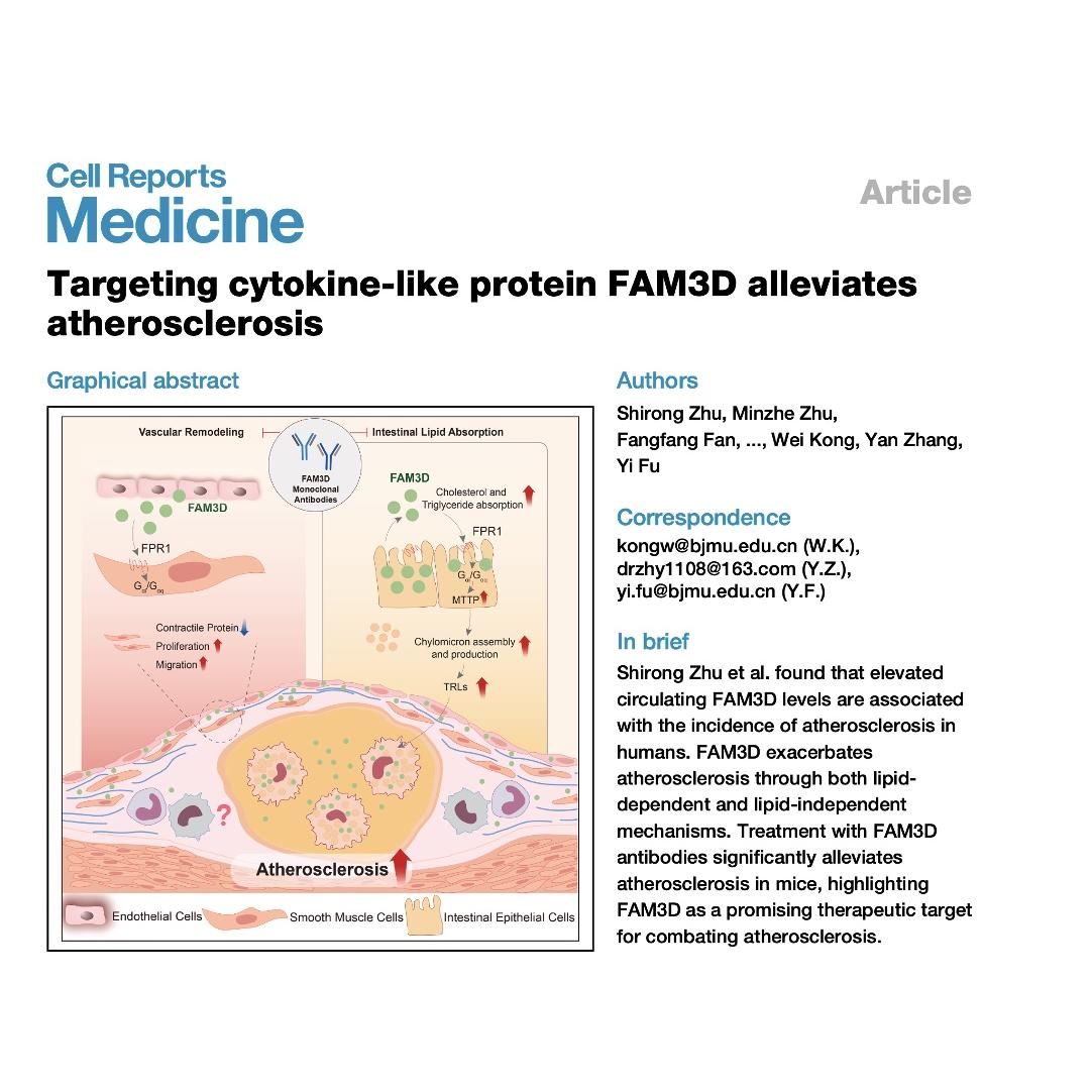 1325-Targeting FAM3D to Alleviate Atherosclerosis episode artwork