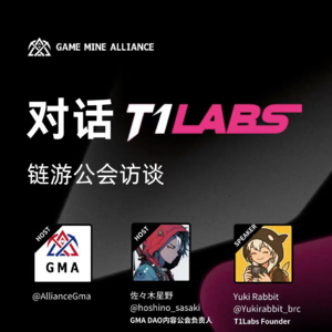 公会访谈系列第六期：对话 T1 Labs 公会