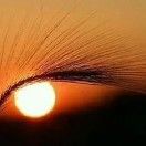 好人一生平安_5ixB