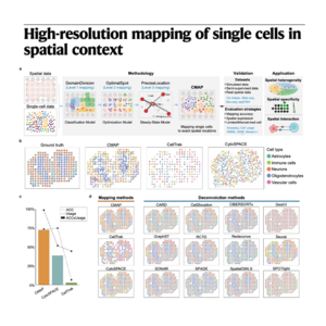 102-Cellular Mapping of Attributes with Position (CMAP)