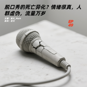 49.脱口秀的死亡异化？情绪很真，人群虚伪，流量万岁
