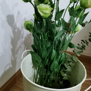 VOL84.爱不适合娇惯者。爱适合战士。