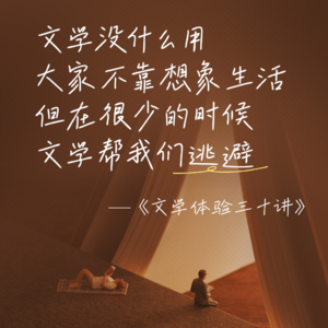 50. 苗炜《文学体验三十讲》系列：文学没什么用，为什么还要读《卡拉马佐夫兄弟》？