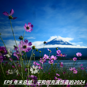 EP8 年末总结：平和但充满惊喜的2024