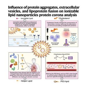 1287-Unmasking Lipid Nanoparticle Protein Corona