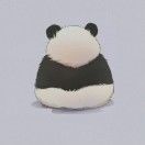 暴力小熊猫_USOl