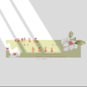 借贷记账小技巧:资成费,借增,贷减;负所收,借减,贷增!