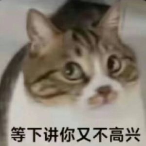 樊扬哇达西