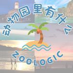 普吉pk巴厘(下)：猴哥抢手机，社死旅拍体验，抓马与治愈