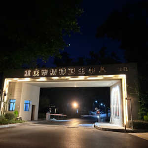 HDHDer 重庆卫生中心就诊指北丨跟楞半岛 1