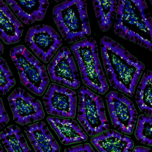 本田日产“抱团取暖”合并 追赶特斯拉和比亚迪