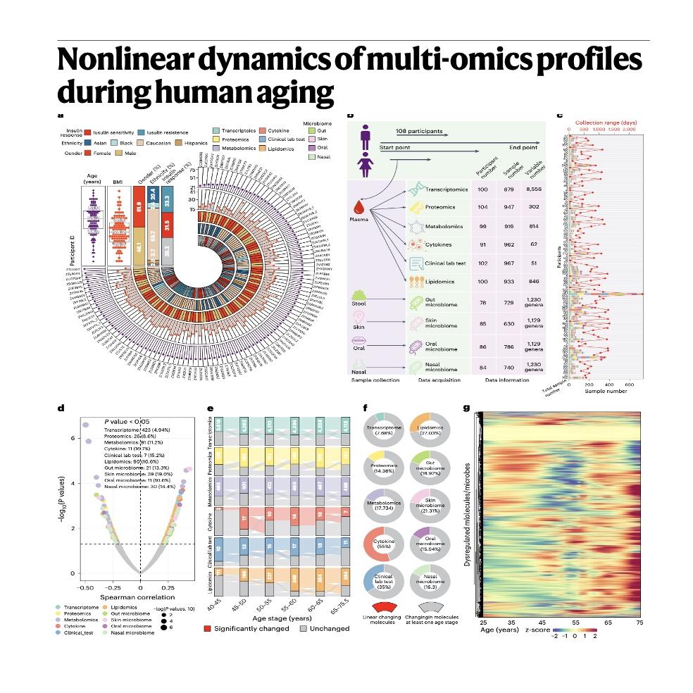 1243-Nonlinear Dynamics of Multi-omics During Human Aging episode artwork