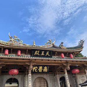 【鸮德乐】#61 逢口浪剑:高考忆往之从拉到夯~厦大艺术生的海景房与爬树课