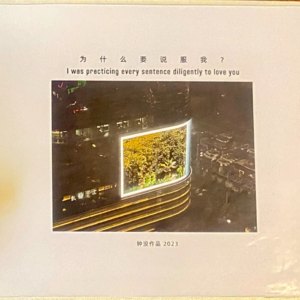 311 悲伤原来是肉做的