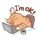 美式去冰不加糖