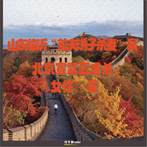 山东临沂“前夫诱子杀妻”案｜北京宣武区虐杀“女性”案