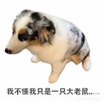 没有里子谁扔你啊